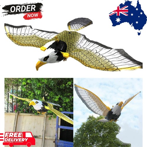 Flying bird hawk scarer - flying,