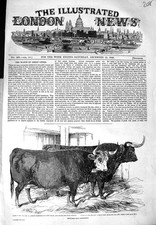 Old Antique Print 1849