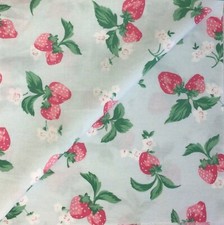 49cm x 101cm Wide Strawberries