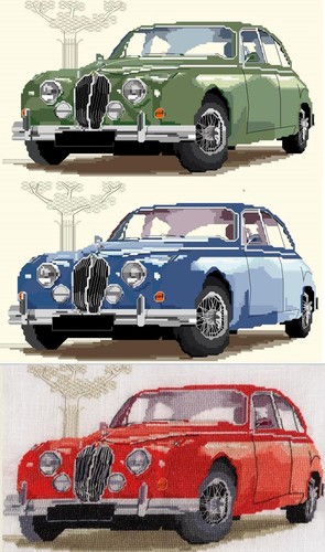 Jaguar mark counted - mark, 2