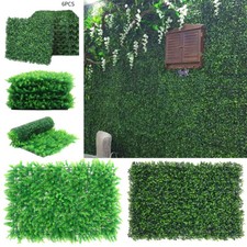 6/12/18Pcs Boxwood Hedges