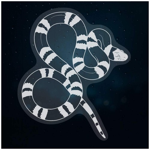 Milk snake static window - static,