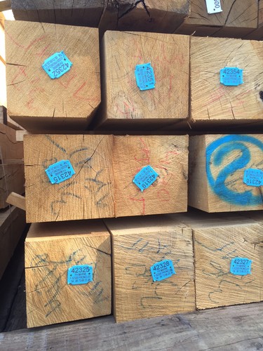 Oak beams 150mm - beams, x
