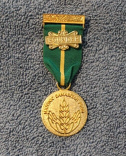 English Freemasonry Regalia