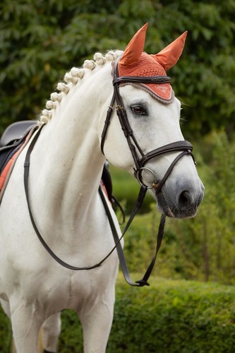 Lemieux classic fly hood - lemieux,
