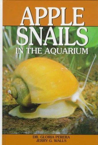 Apple snails the aquarium - apple,