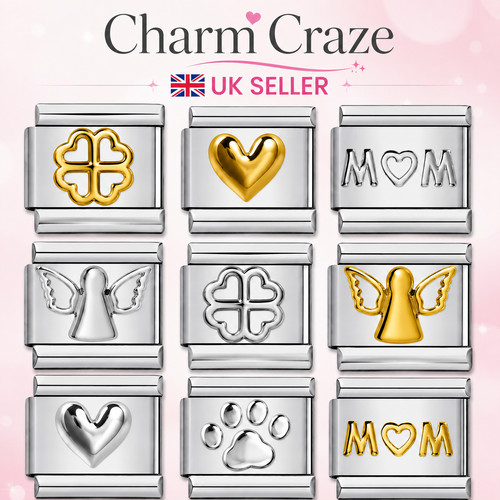 Italian charm link fits all - charm,