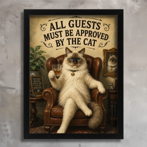 Funny ragdoll cat wall - funny,