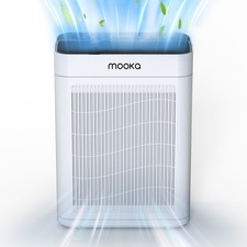 Air Purifiers for Home Large