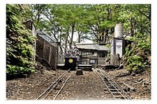 ptc3825 - Yorks - Early