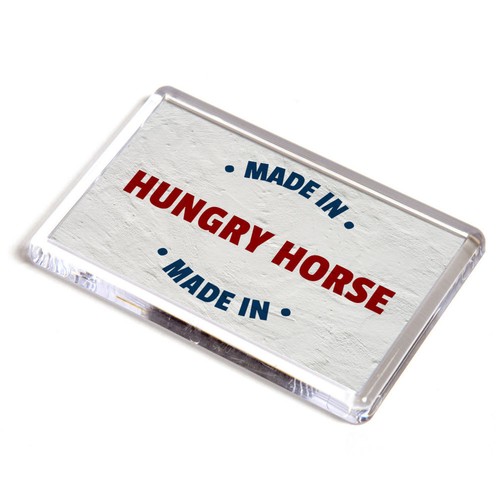 Fridge magnet made in hungry - -,