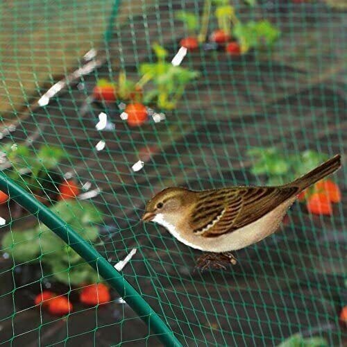 Anti bird pond netting net - pond,