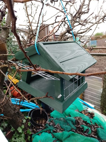 Large hanging pigeon proof - pigeon,