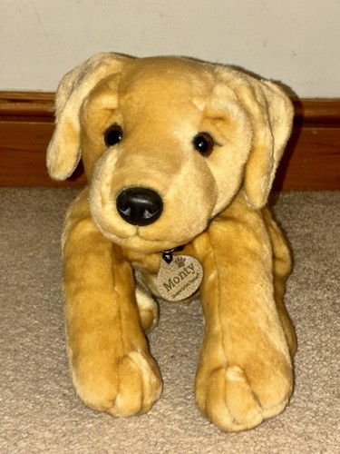 Monty the labrador puppy - the,