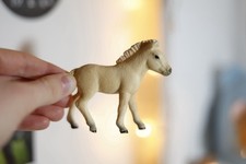 Schleich Fjord Horse Foal
