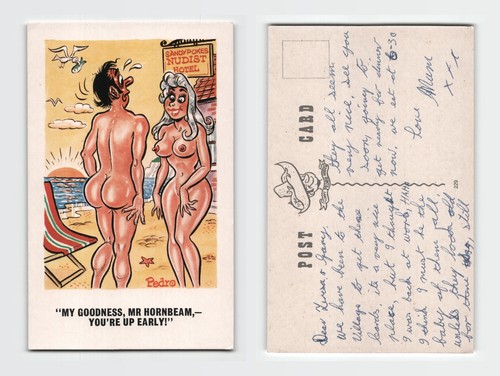 Postcard saucy seaside - postcard,