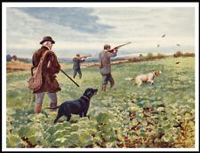 CURLY COATED RETRIEVER