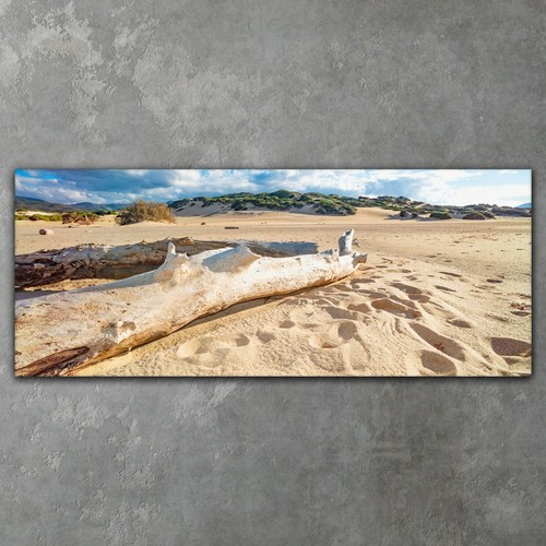 Beach landscape sand dunes - landscape,