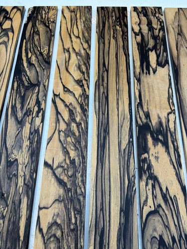 Pale moon ebony acoustic - acoustic, /
