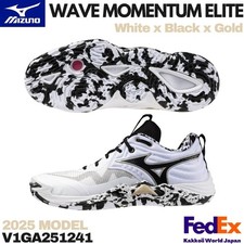 Mizuno Volleyball Shoes WAVE