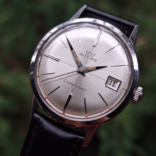 1960 glycine altus - 1960's,