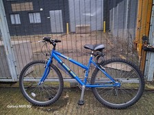 Raleigh Jamtland Men's