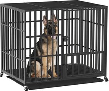Dog Cage XXL Transport Box