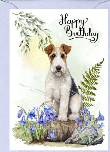 Wire fox terrier - dog, 6")