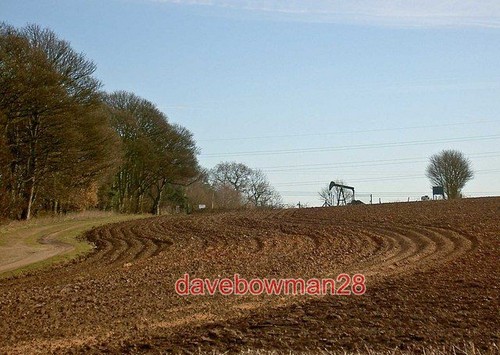 Photo black gold in - black,