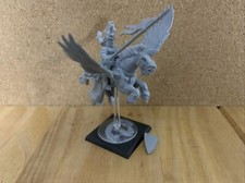 (564) Warhammer Bretonnian