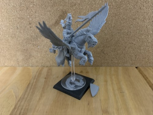Warhammer bretonnian - (564),