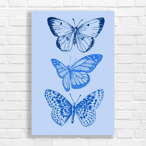 Elegant blue butterfly - elegant,