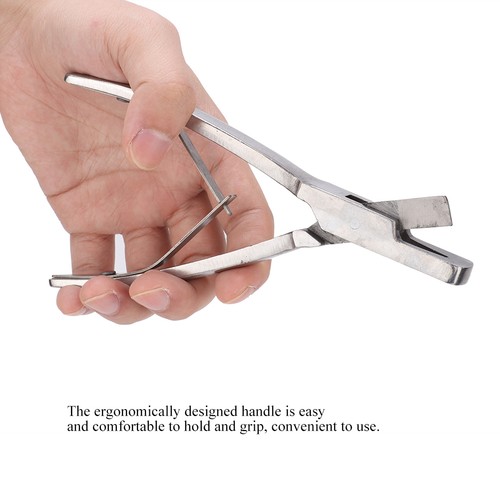 Stainless steel ear - steel, pig
