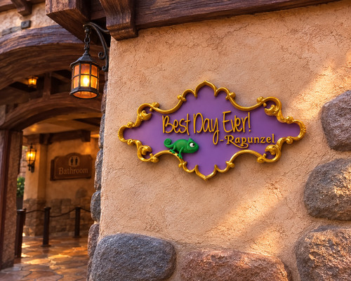 Rapunzel tangled sign best - 13",