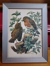 Bird Print Drawing by C F