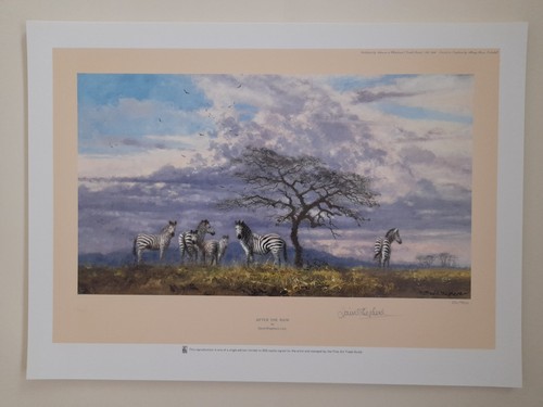 David shepherd after the - david,