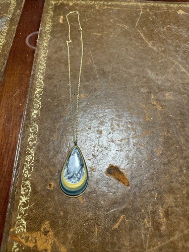 Highly decorative mussel - highly,