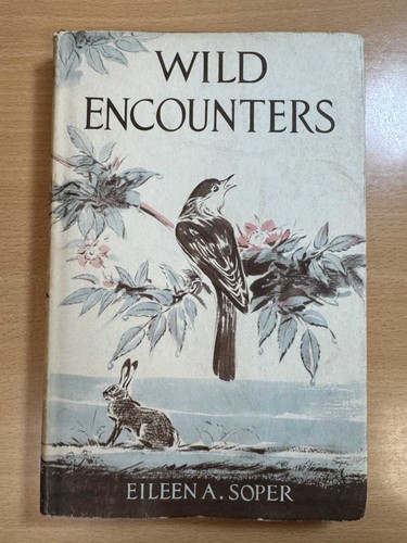 Wild encounters eileen - encounters,