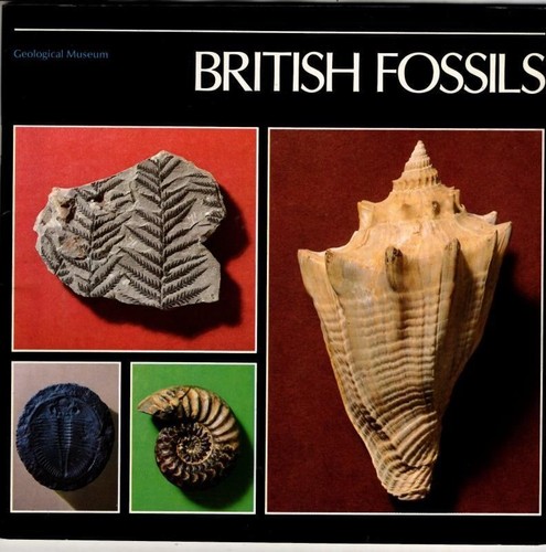 british fossils