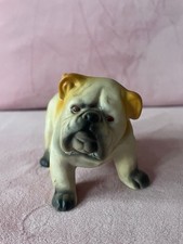 Vintage English Bulldog Puppy