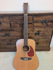 Tanglewood Earth 200