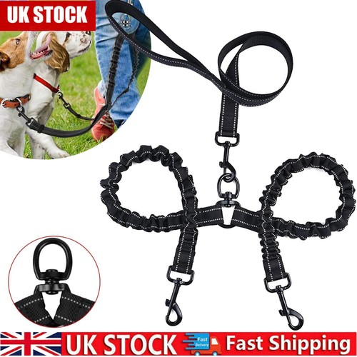 Double dog lead - dog,