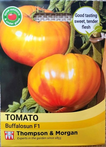 Marbled beefsteak tomato - beefsteak,