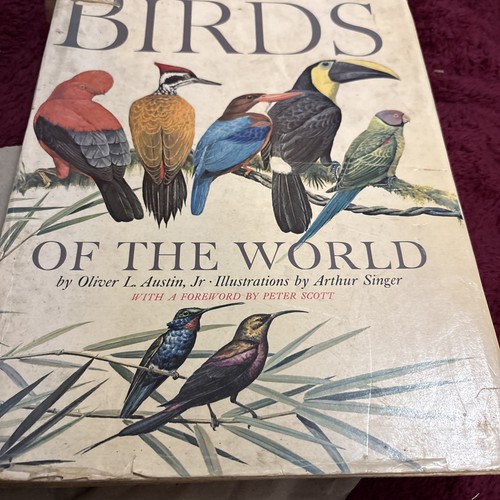 Hard back book birds - back, of