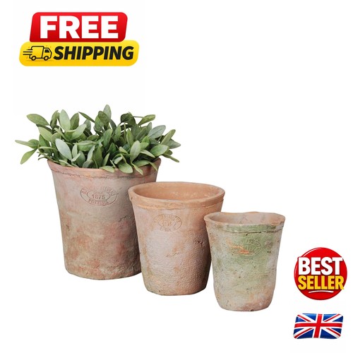 Handmade rustic terracotta pot - terracotta,