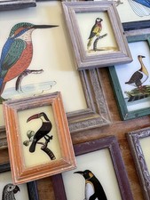 Bird Reverse Glass Paintings