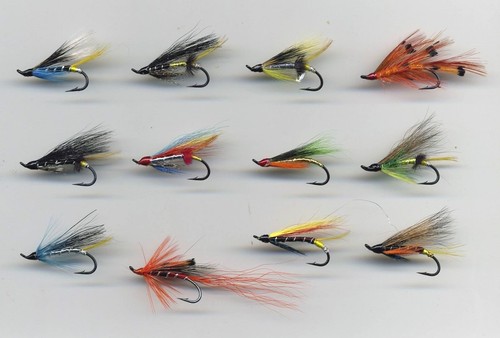 Salmon flies single - flies:, 12
