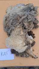 Shetland Sheep Fleece 2025 clip whole fleece