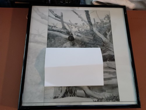 Vintage framed calendar photos - vintage,