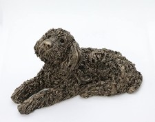 Jake Labradoodle Veronica